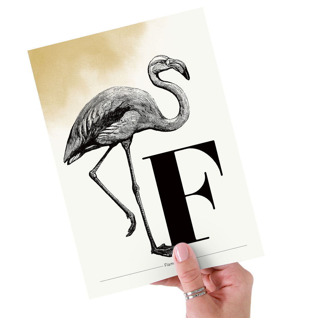 Personalisierbar: Buchstabe F wie Flamingo