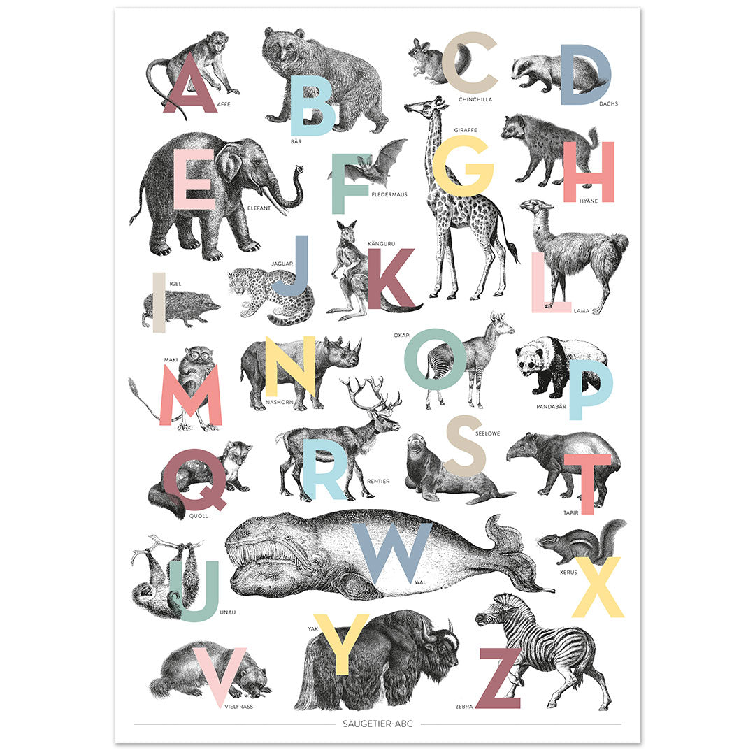 ABC-Poster Säugetiere
