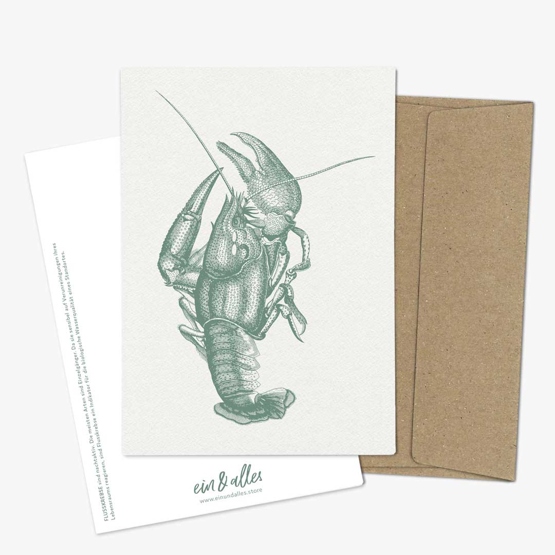 Meerestiere – 4er-Set Postkarten