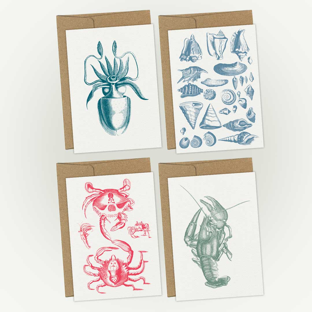 Meerestiere – 4er-Set Postkarten